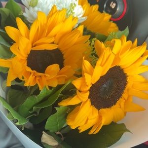 Meet your Posher, Isabel